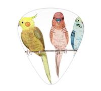 Colorful Parrots On Tree Premium Bass - Púas de guitarra eléctrica para bajo para una experiencia musical sin igual