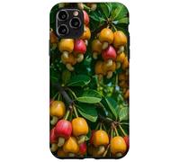 Colorido árbol frutal de anacardo, diseño botánico de Naturaleza Tropical Carcasa para iPhone 11 Pro MAX