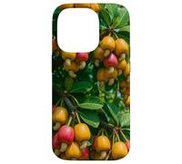Colorido árbol frutal de anacardo, diseño botánico de Naturaleza Tropical Carcasa para iPhone 14 Pro