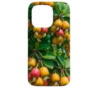Colorido árbol frutal de anacardo, diseño botánico de Naturaleza Tropical Carcasa para iPhone 15 Pro