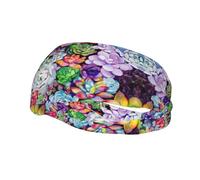 Colorido cinturón Succulent 1 a prueba de sudor para hombres y mujeres, diademas, deportes, fitness, correr y ciclismo.