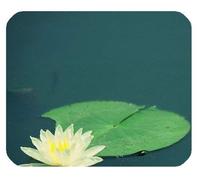 Colorido Hermosa Fantasía Encantadora Arte Único Flor Linda Agua NINFA Loto Aceite Acuarela Pintura Rectángulo Mousepad Personalizar Mousepad