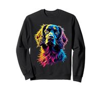 Colorido Pop Art Boykin Spaniel Dog Sudadera