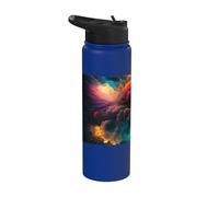Coloridos fuegos artificiales un festín espectacular para Stainless Steel Insulated Water Bottle