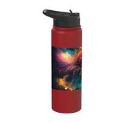 Coloridos fuegos artificiales un festín espectacular para Stainless Steel Insulated Water Bottle