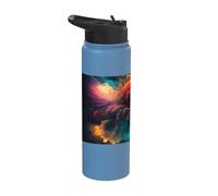 Coloridos fuegos artificiales un festín espectacular para Stainless Steel Insulated Water Bottle
