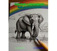 Colorindo e Aprendendo Inglês de Forma Divertida!: Colorindo e Aprendendo
