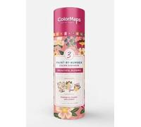 Colormaps Paint-By-Number Beautiful Blooms: Everything You Need to Create 3 Beautiful Paintings: 3 Colored-Line Canvases, 12 Acrylic Paint Pots, 1 ... and Instruction Leaflet Included!: 6