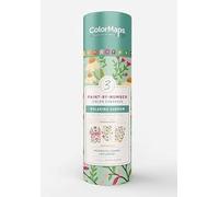 Colormaps Paint-By-Number Relaxing Garden: Everything You Need to Create 3 Beautiful Paintings: 3 Colored-Line Canvases, 12 Acrylic Paint Pots, 1 ... and Instruction Leaflet Included!: 7