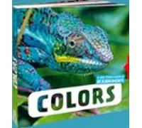 colors. el meu primer album de descobriments