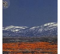 Colossamite - All Lingo's Clamor