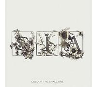 Colour the Small One [Vinilo]