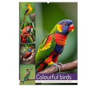 Colourful birds (Wall Calendar 2026 DIN A2 portrait), CALVENDO 12 Month Wall Calendar: The most beautiful birds in the world
