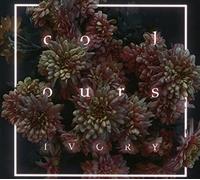 Colours - Ivory