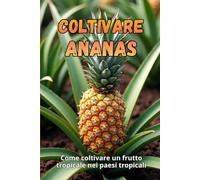 Coltivare ananas: Come coltivare frutta tropicale nei paesi non tropicali