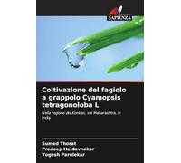 Coltivazione del fagiolo a grappolo Cyamopsis tetragonoloba L: Nella regione del Konkan, nel Maharashtra, in India