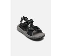 Columbia Men's Konos Hiker 3-Strap, Sports and Outdoor Sandals, Black/City Grey, 12