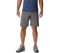 Columbia Men's Silver Ridge Utility Short, Hiking Shorts, City Grey, W34/L10