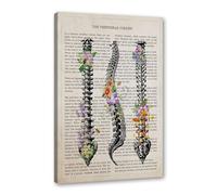 Columna vertebral, anatomía, clásico, anatomía, músculos, flores, arte de pared, lona, carteles, impresiones corporales, narración, imágenes, educación médica, decoración del hogar