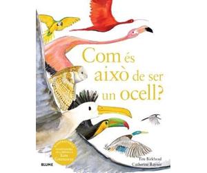Com és això de ser un ocell?