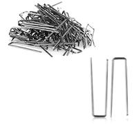 com-four® - 100 Agujas de Flores de Paja, Clips para composiciones Florales en floristería para decoración Floral (100 Unidades)