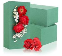 com-four® 3X Espuma Floral para Arreglos Florales - Esponja para Flores Frescas - Esponja Plug In para Hacer Manualidades para Boda y Cumpleaños