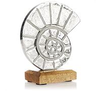 com-four® Premium Concha de Metal Decorativa sobre una Base de Madera de Mango - Fósil de Metal marítimo para Decorar (Plata - fósil)