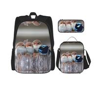 Combinación de mochila escolar, juego de mochila escolar moderna y ligera para niñas, juego de mochila escolar con cuatro pájaros, Cuatro pájaros, Talla única