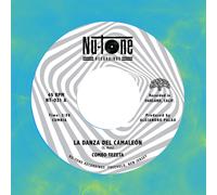 Combo Tezeta – La Danza del Camaleón / La Reina Nocturna – Vinilo (Importación USA)