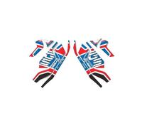 Combustible Protector deposito Pegatina Reflectante para Cubierta Protectora De Radiador Motocicleta para R1250GS para Adventure 2019 2020 2021, Calcomanía para Caja Motor