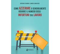 Come Azzerare o sensibilmente ridurre il numero degli Infortuni sul Lavoro