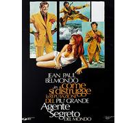 Come si distrugge la reputazione del più grande agente segreto del mondo [Italia] [DVD]