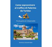 Come sopravvivere al traffico di Palermo da Turista: Piccola guida zen indispensabile