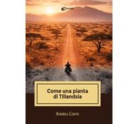 Come una pianta di Tillandsia (Intrecci)