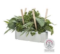 Comedero 26 × 23 × 17 cm gris