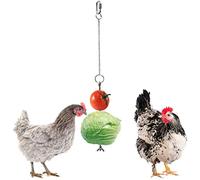 Comedero colgante para pollo, loro, pájaro, pincho de pollo, verduras, soporte para frutas, comedero de acero inoxidable, para aves de corral
