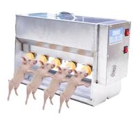 Comedero de biberón de acero inoxidable con múltiples pezones para el cuidado de lechones y corderos pequeños