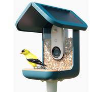 Bird Buddy Smart Bird Pro Comedero Inteligente para pájaros con panel solar - BBG1003BAD