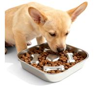 Comedero para perros 304 de acero inoxidable, diámetro de 21,5 cm, cuenco anticabestrillo para perros de acero inoxidable con alfombrilla de silicona antideslizante, comedero lento para perros