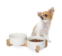 Comedero perros cuencos de cerámica recipiente doble 850 ml fácil limpieza