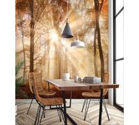 Comedor Naranja Papel Pintado Mural 3.1x2.2m Dorado Amanecer Bosque Cocina Decor