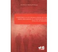 Comentario A La Ley Orgánica 5/2000 De 12 De Enero Reguladora De La Re