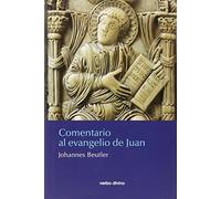 Comentario Al Evangelio De Juan