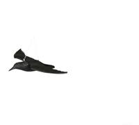 Cometa de cuervo colgante dinámica realista para pájaros, material de polietileno resistente a la intemperie, negro, 58 x 9 x 10 cm para jardín, patio, balcón, azotea, decoración de Halloween al aire