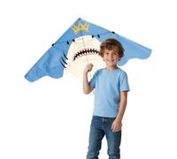 Cometa de playa grande para adultos y niños, cometa delta fácil de volar con línea de cuerdas y cola colorida, juguete perfecto para viajes en la playa y principiantes