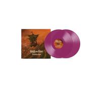 Cometh The Storm [Vinilo]