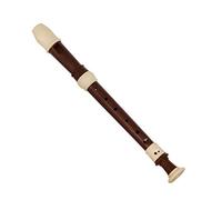 COMETX Instrumentos de viento ABS Descant Grabadora 8 Agujeros Estilo Grabadoras Instrumento Desmontable con Reposamuñecas y Bolsa de Transporte Aula Instrumentos Musicales de Viento Café
