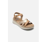 Comfeet CANDIDO W10402 38 Oro y bronce