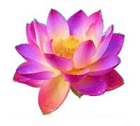 ComfyHarbor Calcomanías de pared de flor de loto que brillan en la oscuridad, calcomanía autoadhesiva de PVC para azulejos de espejo de baño, decoración moderna y minimalista del hogar, verde, azul y