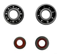 ComfyHarbor Conjunto de biela del cigüeñal de la motosierra, con sello de aceite del rodamiento, para modelos Ms361 361C, pieza de repuesto de metal de precisión, para reparación de equipos eléctricos